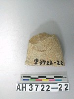 藏品(小型端砍砸器)的圖片